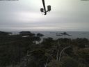 ./images/calvert/lookout/20210521/lookout20210521_204001.jpg