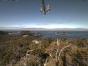 ./images/calvert/lookout/20210522/lookout20210522_100502.jpg