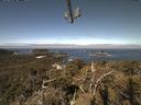 ./images/calvert/lookout/20210522/lookout20210522_101002.jpg