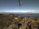 ./images/calvert/lookout/20210522/lookout20210522_102002.jpg