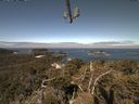 ./images/calvert/lookout/20210522/lookout20210522_102502.jpg