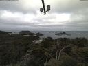 ./images/calvert/lookout/20210523/lookout20210523_081001.jpg