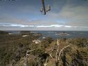 ./images/calvert/lookout/20210523/lookout20210523_100501.jpg