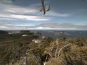 ./images/calvert/lookout/20210523/lookout20210523_112001.jpg