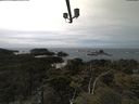 ./images/calvert/lookout/20210523/lookout20210523_140501.jpg