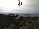 ./images/calvert/lookout/20210523/lookout20210523_142001.jpg