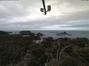 ./images/calvert/lookout/20210524/lookout20210524_092502.jpg