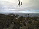 ./images/calvert/lookout/20210524/lookout20210524_095002.jpg