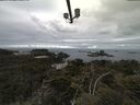 ./images/calvert/lookout/20210525/lookout20210525_084502.jpg