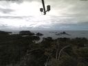 ./images/calvert/lookout/20210525/lookout20210525_135502.jpg