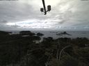 ./images/calvert/lookout/20210525/lookout20210525_145001.jpg