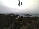 ./images/calvert/lookout/20210526/lookout20210526_064001.jpg