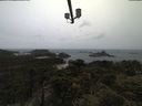 ./images/calvert/lookout/20210526/lookout20210526_090501.jpg
