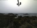 ./images/calvert/lookout/20210526/lookout20210526_095502.jpg