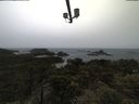 ./images/calvert/lookout/20210526/lookout20210526_100501.jpg