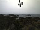 ./images/calvert/lookout/20210526/lookout20210526_101501.jpg