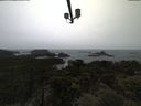 ./images/calvert/lookout/20210526/lookout20210526_102001.jpg