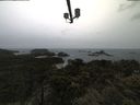 ./images/calvert/lookout/20210526/lookout20210526_111502.jpg