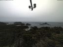 ./images/calvert/lookout/20210526/lookout20210526_112002.jpg