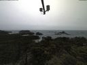 ./images/calvert/lookout/20210526/lookout20210526_112502.jpg