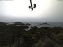 ./images/calvert/lookout/20210526/lookout20210526_115001.jpg