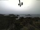 ./images/calvert/lookout/20210526/lookout20210526_120501.jpg