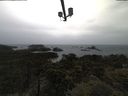 ./images/calvert/lookout/20210526/lookout20210526_133502.jpg