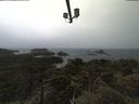 ./images/calvert/lookout/20210526/lookout20210526_145502.jpg