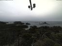 ./images/calvert/lookout/20210526/lookout20210526_151002.jpg