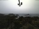 ./images/calvert/lookout/20210526/lookout20210526_165502.jpg