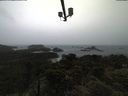 ./images/calvert/lookout/20210526/lookout20210526_173501.jpg