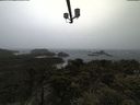 ./images/calvert/lookout/20210526/lookout20210526_174501.jpg