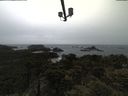 ./images/calvert/lookout/20210526/lookout20210526_181501.jpg