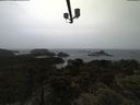 ./images/calvert/lookout/20210526/lookout20210526_184502.jpg