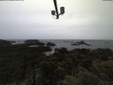 ./images/calvert/lookout/20210526/lookout20210526_185502.jpg