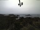 ./images/calvert/lookout/20210526/lookout20210526_195501.jpg