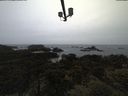./images/calvert/lookout/20210526/lookout20210526_200501.jpg