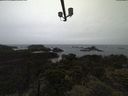 ./images/calvert/lookout/20210526/lookout20210526_201001.jpg