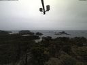 ./images/calvert/lookout/20210526/lookout20210526_201501.jpg