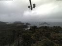./images/calvert/lookout/20210527/lookout20210527_114501.jpg