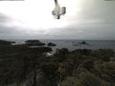 ./images/calvert/lookout/20210527/lookout20210527_144502.jpg