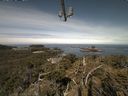 ./images/calvert/lookout/20210529/lookout20210529_100002.jpg