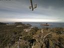 ./images/calvert/lookout/20210529/lookout20210529_101501.jpg
