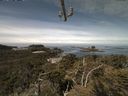 ./images/calvert/lookout/20210529/lookout20210529_112001.jpg