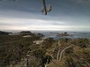 ./images/calvert/lookout/20210529/lookout20210529_112501.jpg