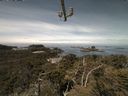 ./images/calvert/lookout/20210529/lookout20210529_113501.jpg
