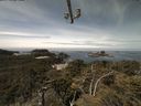 ./images/calvert/lookout/20210529/lookout20210529_122502.jpg