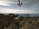 ./images/calvert/lookout/20210529/lookout20210529_130501.jpg