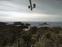 ./images/calvert/lookout/20210529/lookout20210529_140002.jpg