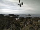 ./images/calvert/lookout/20210529/lookout20210529_142502.jpg